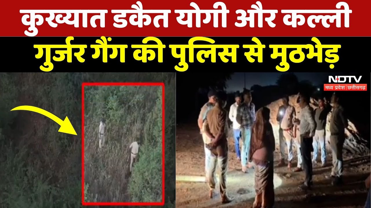 MP Crime News: कुख्यात डकैत योगी और Kalli Gujjar gang को Police ने Hastinapur के जंगल में घेरा!