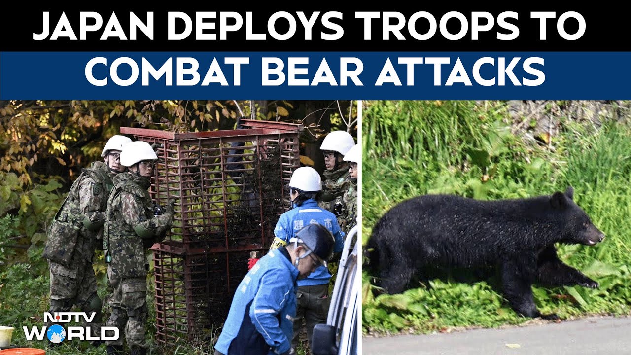 Japan Bear Crisis | Troops Sent to northern Japan to help stop bear attacks after record casualties