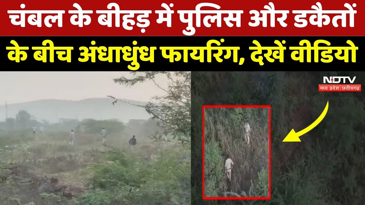Gwalior Crime News: पुलिस और डकैतों के बीच अंधाधुंध फायरिंग, देखिए ये Video | MP Crime News