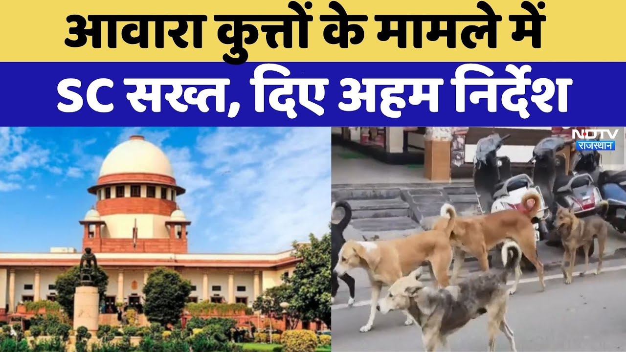 Supreme Court's Order on Stray Dogs: आवारा कुत्तों के मामले में SC सख्त, दिए अहम निर्देश | Latest