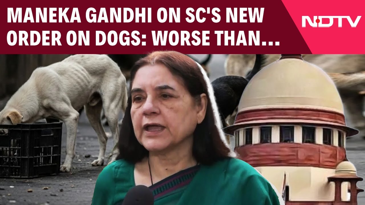 Street Dog Supreme Court Order | ‘Worse Than Previous Judgement’: Maneka Gandhi