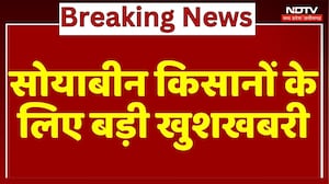 Soyabean किसानों को प्रति क्विंटल 1300 रुपये देगी MP सरकार