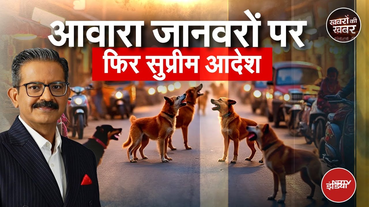 Supreme Court का सख़्त आदेश! स्कूल-हॉस्पिटल और रेलवे स्टेशन से हटेंगे Stray Dogs | Khabron Ki Khabar