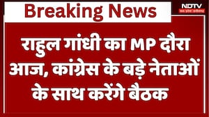 MP Politics : Rahul Gandhi का MP दौरा आज, Congress के बड़े नेताओं के साथ करेंगे बैठक