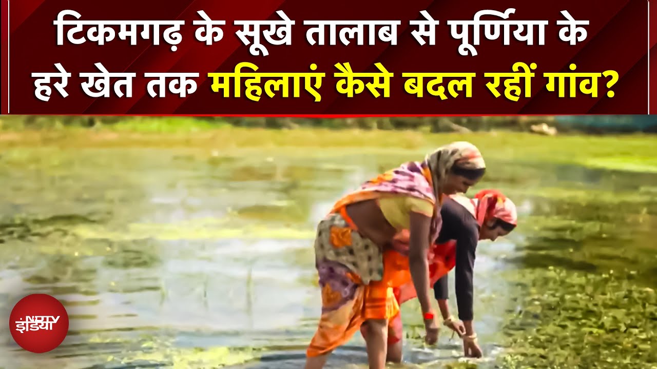 Herbalife x NDTV: टिकमगढ़ के सूखे तालाब से पूर्णिया के हरे खेत तक, महिलाएं कैसे बदल रहीं गांव?