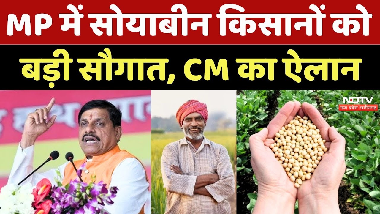 MP Soyabean Farmer News:  सोयाबीन किसानों को बड़ी सौगात, CM Mohan Yadav का ऐलान