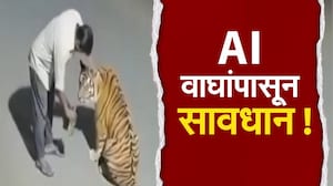 Fact Check | सोशल मीडियावर AI वाघांचा सुळसुळाट, वनविभागाची AI वाघांचे व्हिडीओ बनवणाऱ्यांवर कारवाई