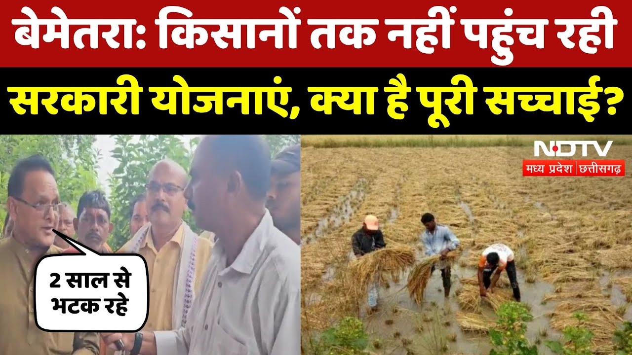 Bemetara Farmers News: फसलें खराब, किसानों को नहीं मिल रहा योजनाओं का लाभ, जानिए पूरी हकीकत?