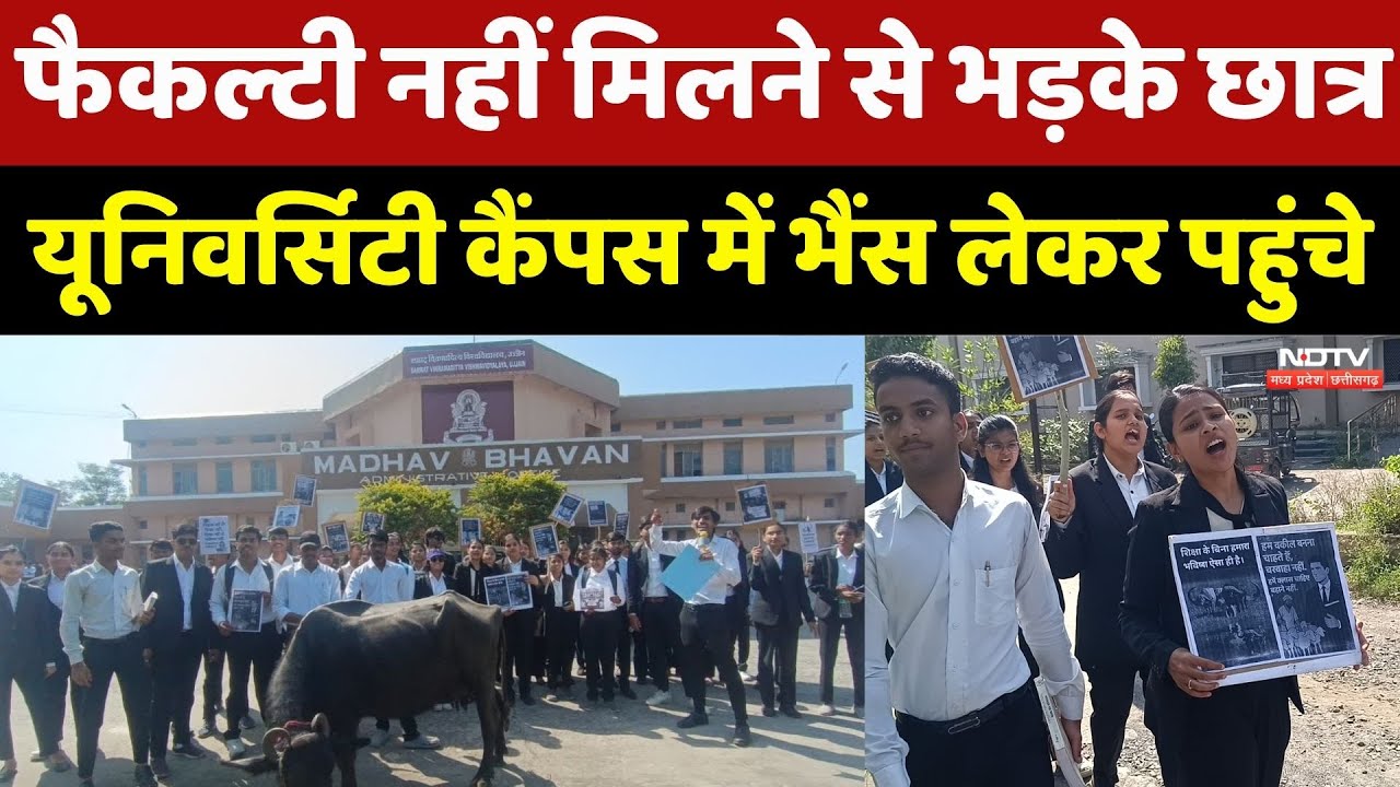 Faculty नहीं मिलने से भड़के छात्र, यूनिवर्सिटी कैंपस में भैंस लेकर पहुंचे। Top