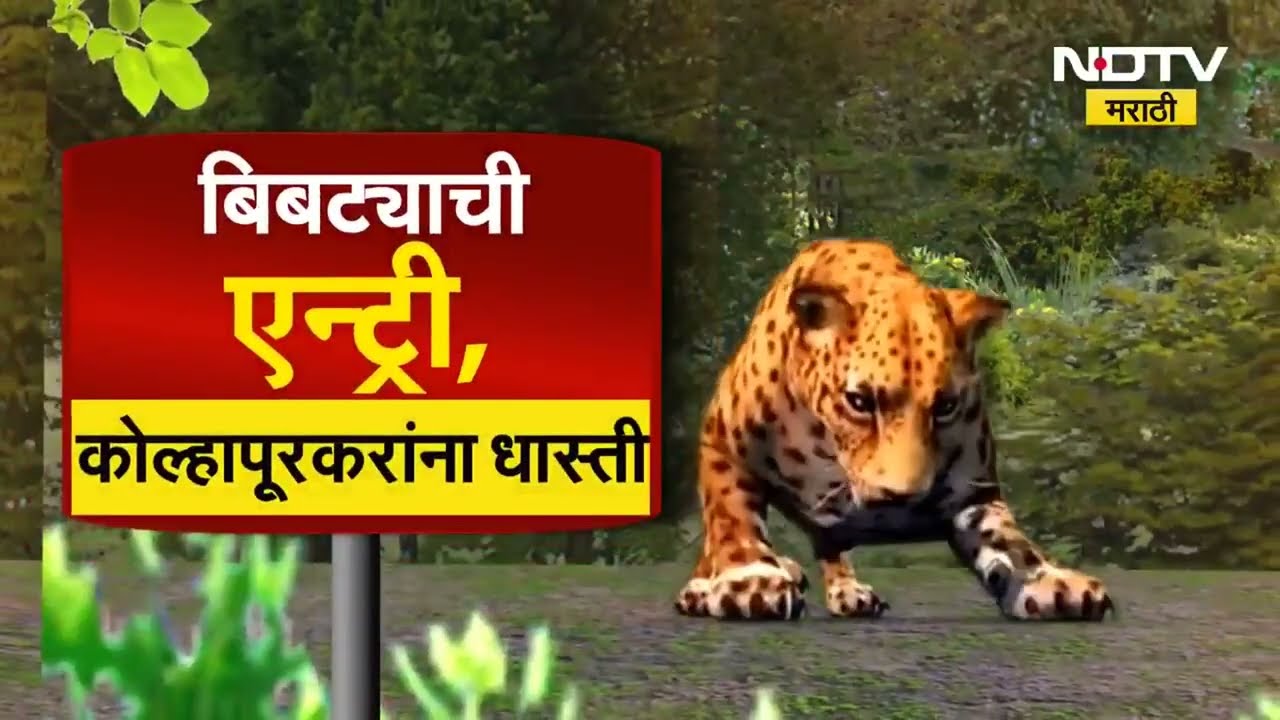 Kolhapur Leopard Terror | कुस्तीच्या मैदानात बिबट्याची दहशत! कोल्हापुरात मोठा थरार!