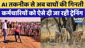 Kota News: Tiger Reserve में AI तकनीक से बाघों की गिनती, WII करेगा Data का विश्लेषण | Rajasthan