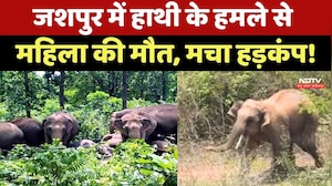 Elephant Attack: Jashpur में हाथी के हमले से महिला की मौत, मचा हड़कंप! Chhattisgarh