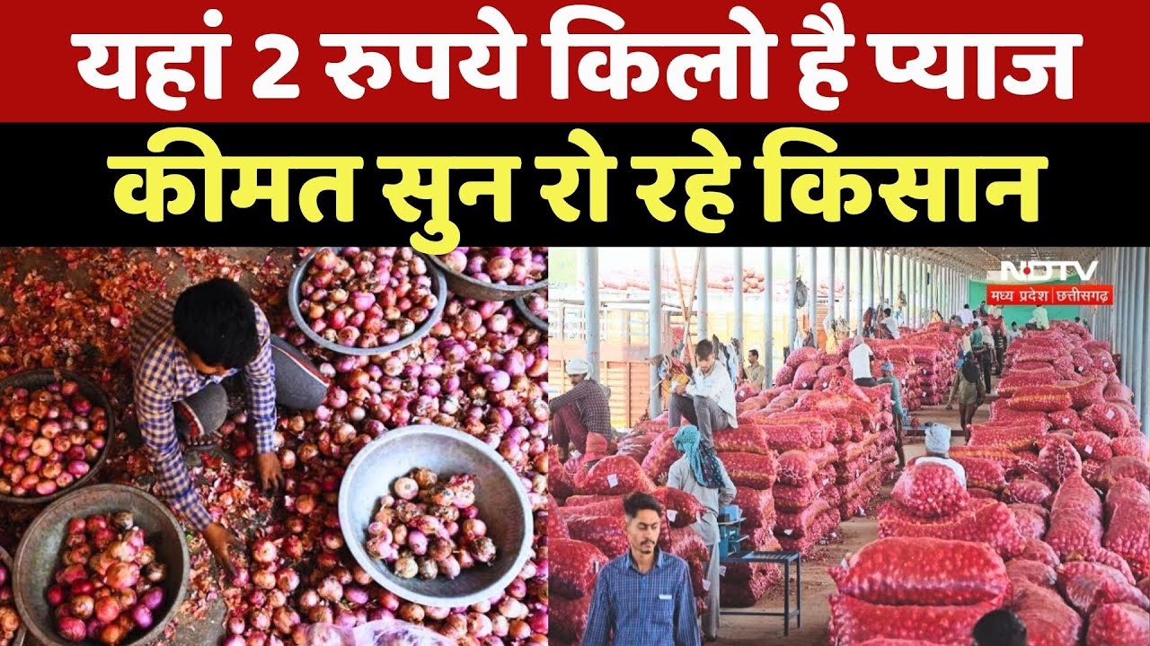 Onion Price: प्याज की कीमत सुनकर रो रहे Madhya Pradesh के Farmers