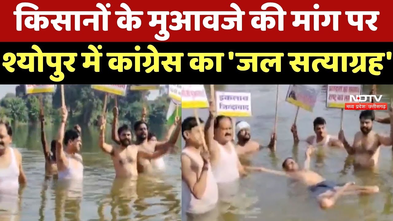 Sheopur News: Farmers के मुआवजे की मांग पर श्योपुर में कांग्रेस का 'जल सत्याग्रह'
