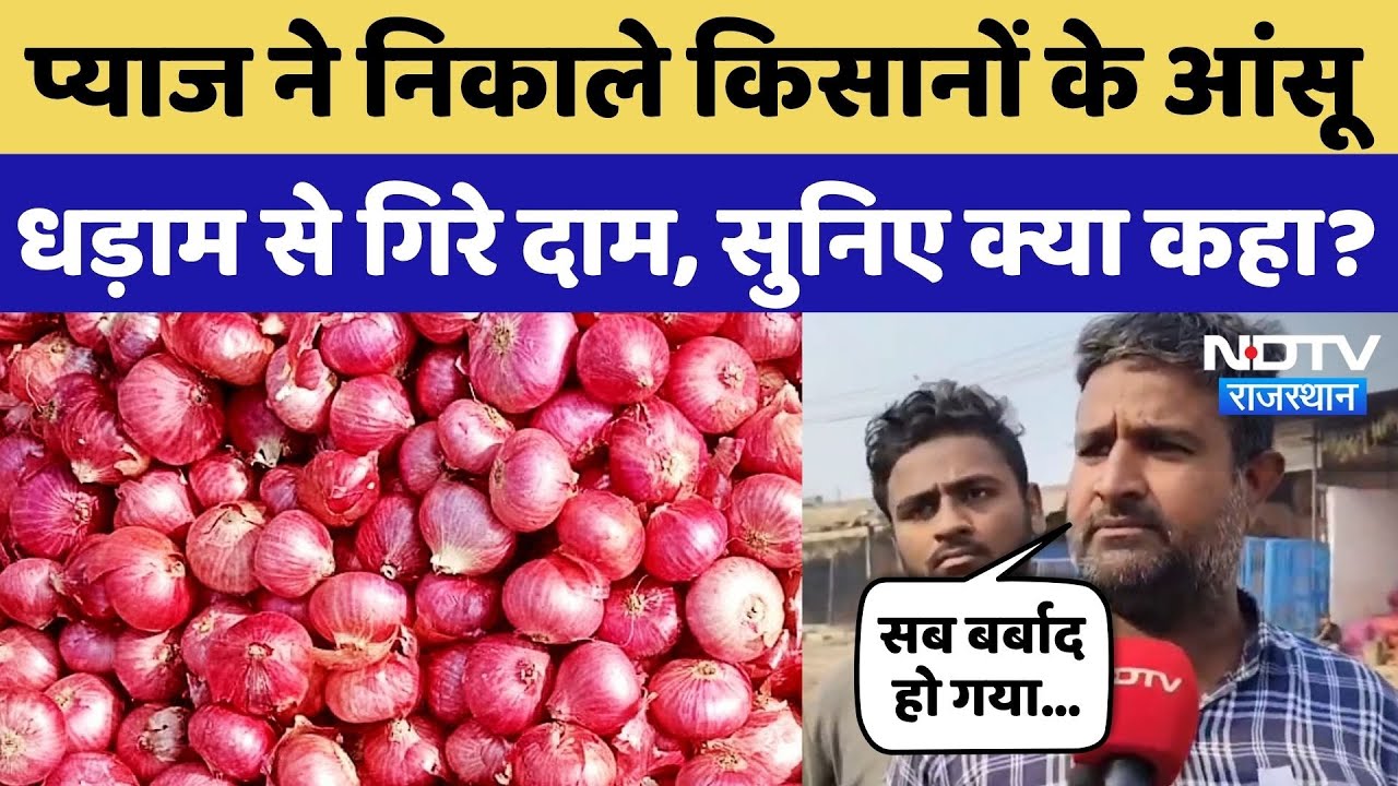 Onion Rate In Rajasthan: 4 से 5 रुपए किलो बिक रहे प्याज, सुनिए किसानों का दर्द! Vegetable Price