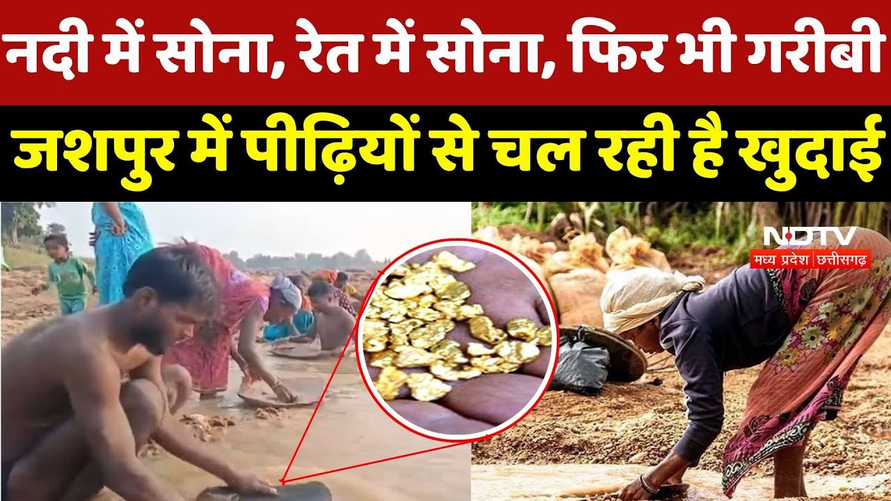 Gold in Chhattisgarh: नदी में सोना, रेत में सोना, फिर भी गरीबी, जशपुर में पीढ़ियों से चल रही है खुदाई