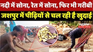 Gold in Chhattisgarh: नदी में सोना, रेत में सोना, फिर भी गरीबी, जशपुर में पीढ़ियों से चल रही है खुदाई