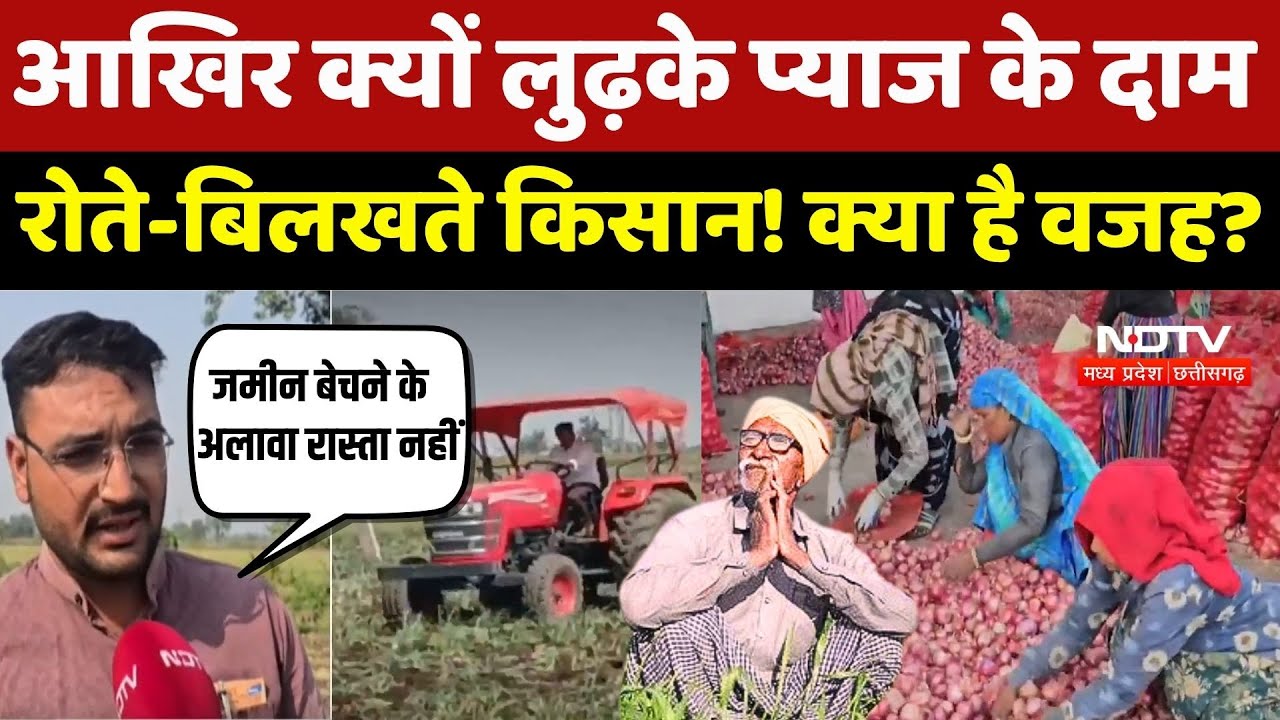 Onion Prices Fall In MP: आखिर क्यों लुढ़के प्याज के दाम, रोते-बिलखते किसान! क्या है वजह?
