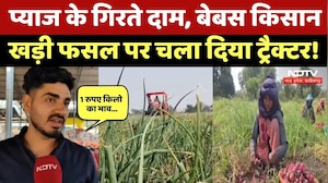 Onion Prices Fall In MP: 1 रुपए किलो बिक रहा प्याज, Farmers का छलका दर्द, उठाया ये कदम! MP News