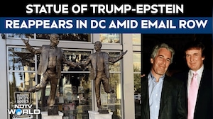 Trump Epstein Emails | Statue Of Trump & Epstein Reemerges In Washington Amid Email Row