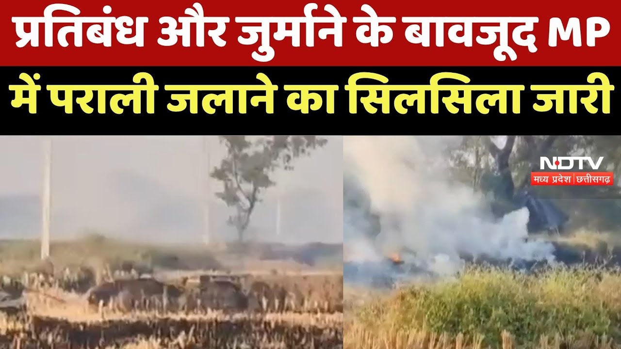 Madhya Pradesh में पराली का 'जहर', रोक के बाद भी जल रहे खेत, जानिए मामला