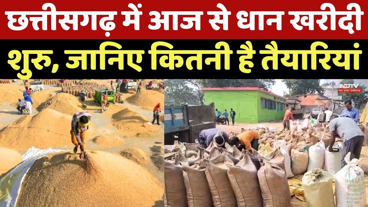 Chhattisgarh Dhan Kharidi 2025: धान खरीदी शुरू, जानिए कितनी है तैयारियां
