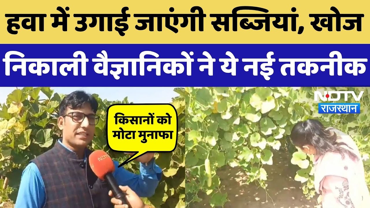 Farmers News: अब हवा में उगाई जाएंगी Vegetables-Fruits, वैज्ञानिकों ने खोजी खेती की ये नई तकनीक!