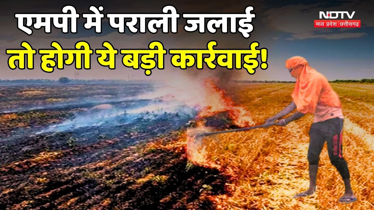 MP में पराली जलाई तो होगी ये बड़ी कार्रवाई