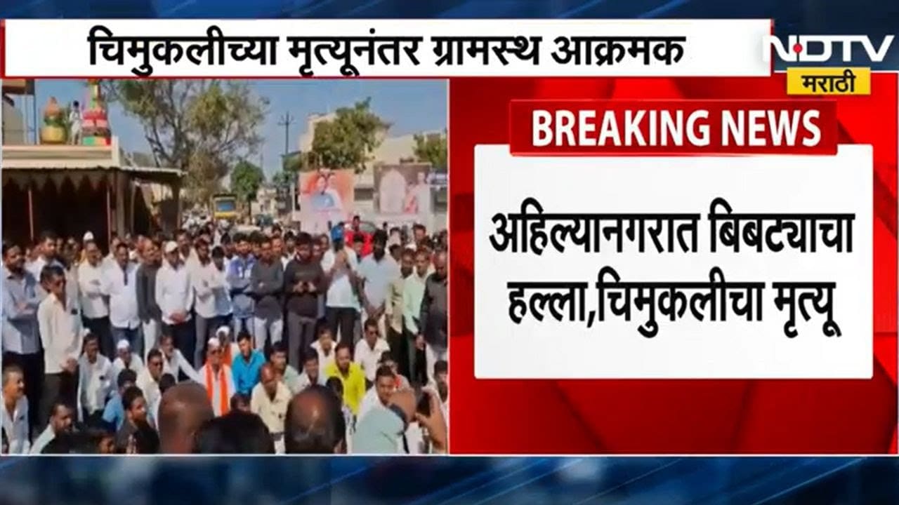 Ahilyanagar Bibtya Case: बिबट्याच्या हल्ल्यात चिमुकलीचा मृत्यू,बिबट्याला मारण्यासाठी ग्रामस्थ आक्रमक