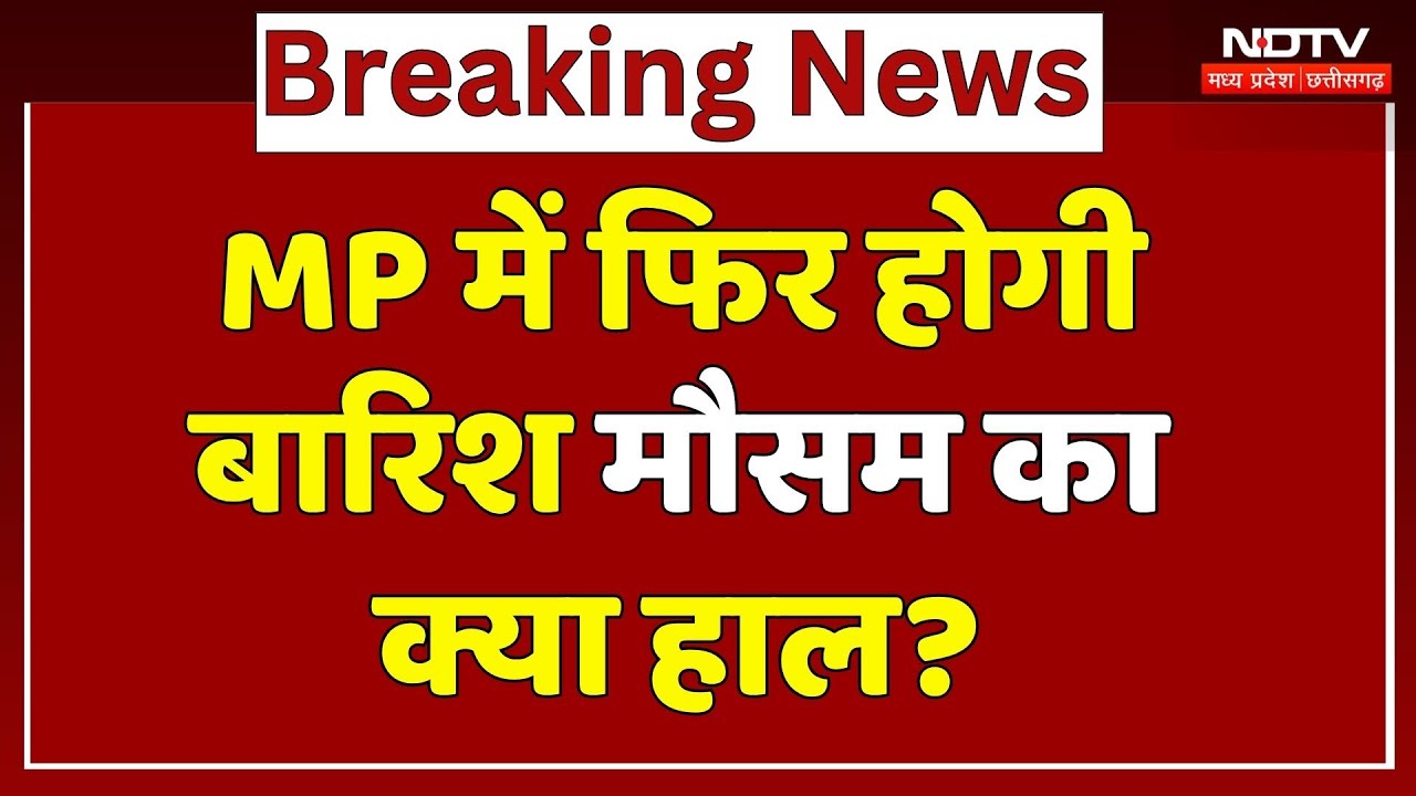 MP Rain Alert: हल्की धुंध, गिर रहा तापमान, मौसम का क्या हाल? | Flood | Breaking | IMD | Heavy Rain