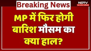 MP Rain Alert: हल्की धुंध, गिर रहा तापमान, मौसम का क्या हाल? | Flood | Breaking | IMD | Heavy Rain