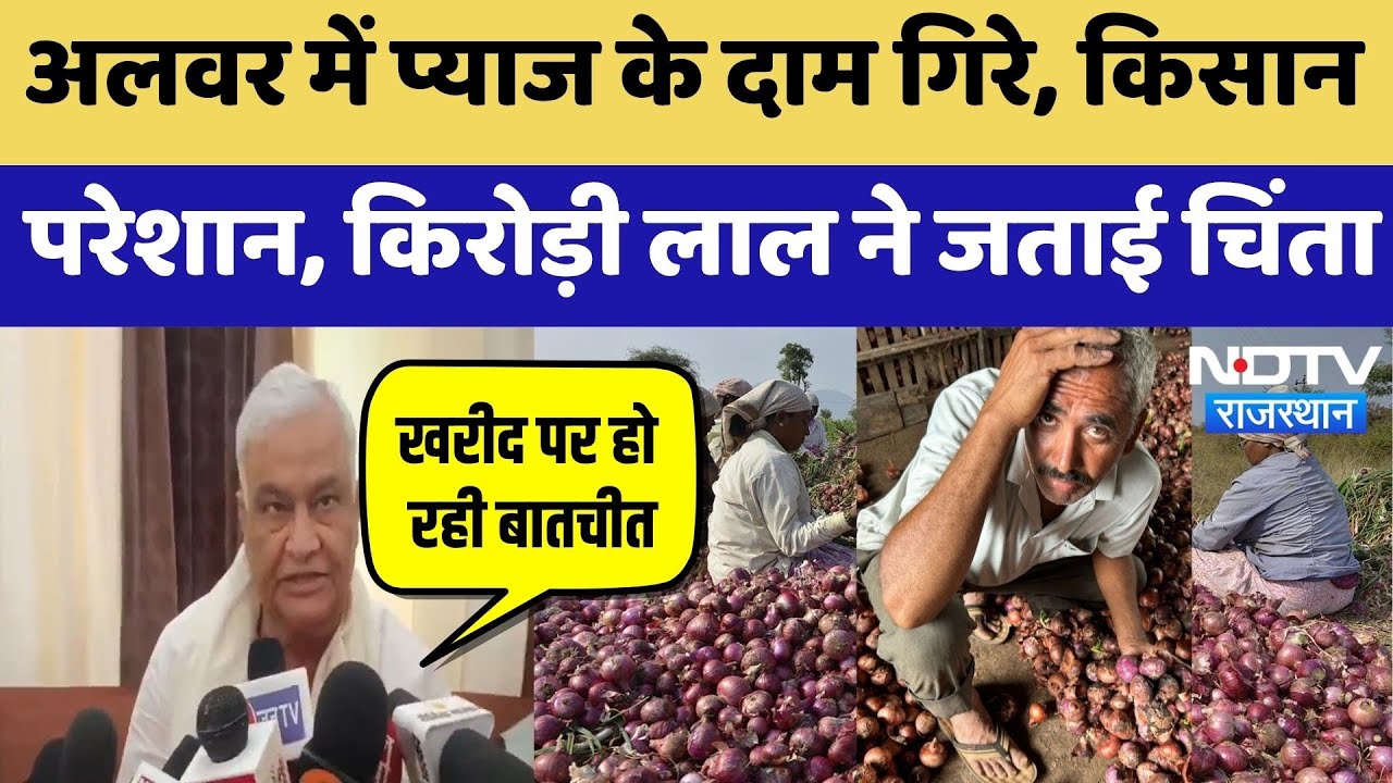 Alwar Onion Rate Falls: अलवर में प्याज के दाम गिरे, किसान परेशान, Kirodi Lal ने जताई चिंता