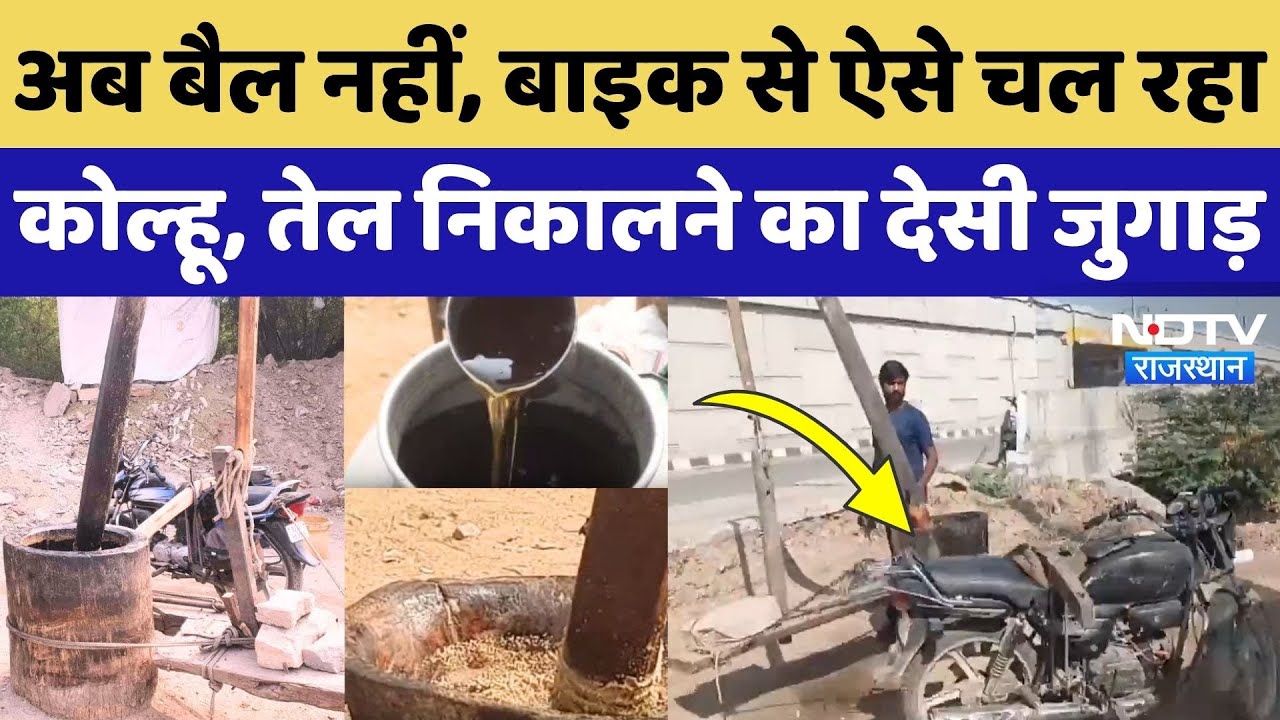 Jodhpur में कोल्हू से तेल निकालने का ये देसी जुगाड़ तेजी से हो रहा Viral, आप भी देखिए ये Video