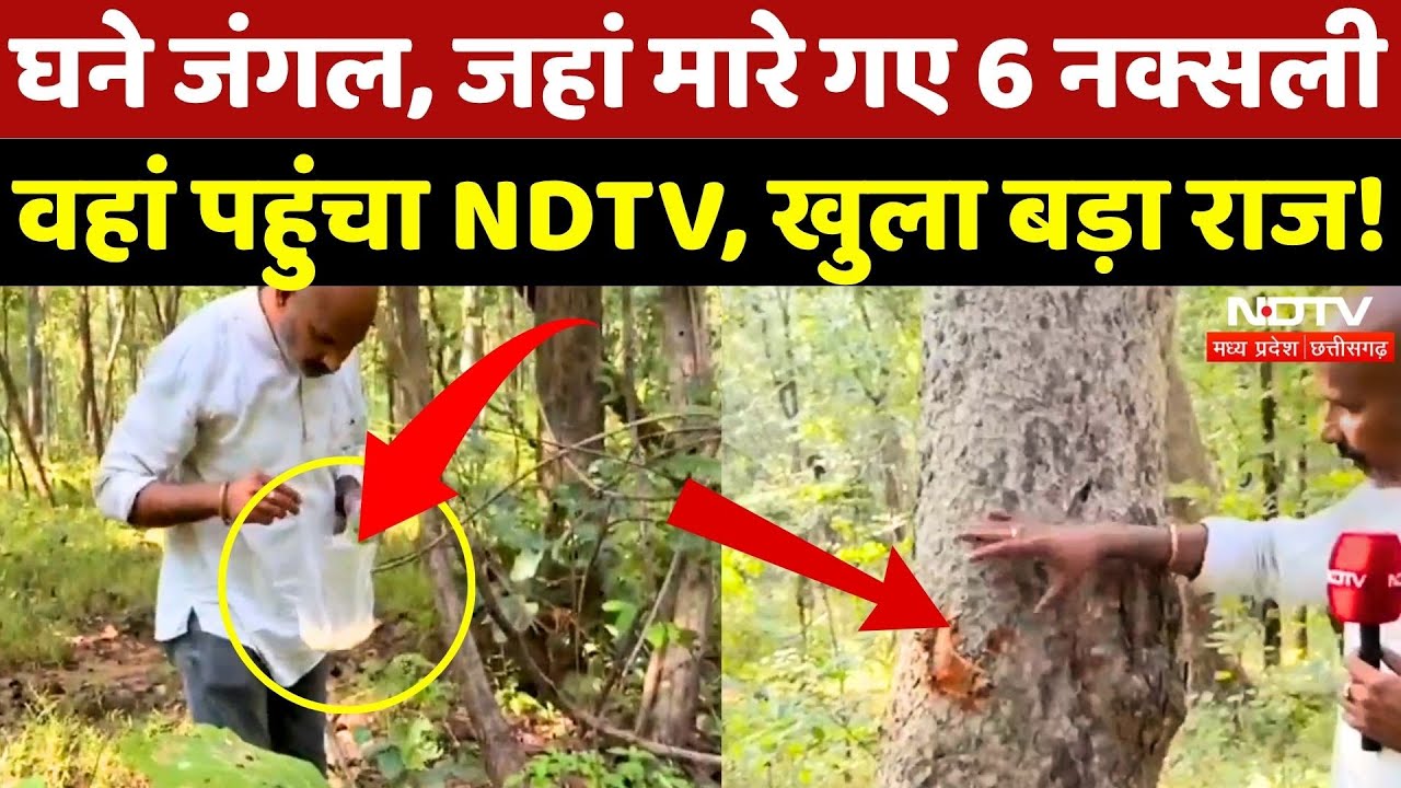 Naxal Encounter in Bijapur: जहां मारे गए 6 नक्सली, वहां पहुंचा NDTV | Naxal | Naxalism | CG News