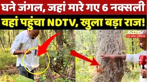 Naxal Encounter in Bijapur: जहां मारे गए 6 नक्सली, वहां पहुंचा NDTV | Naxal | Naxalism | CG News