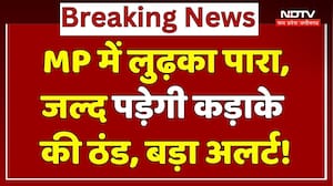 MP Weather Update: MP के इन जिलों में शीतलहर का अलर्ट!| Rain | IMD | Winter | Alert | Breaking | Top