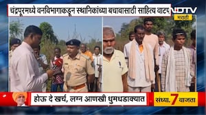 Chandrapur मध्ये वाघांच्या हल्ल्यांपासून सुरक्षेसाठी  वनविभागाकडून स्थानिकांना त्रिशूल काठीचं वाटप