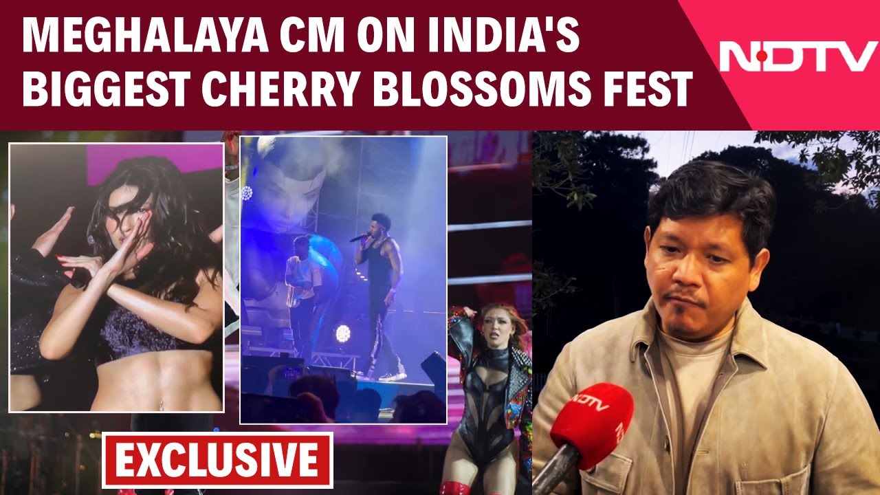 Sangma Cherry Blossoms Paint Shillong Pink,Festival Draws Global Visitors
