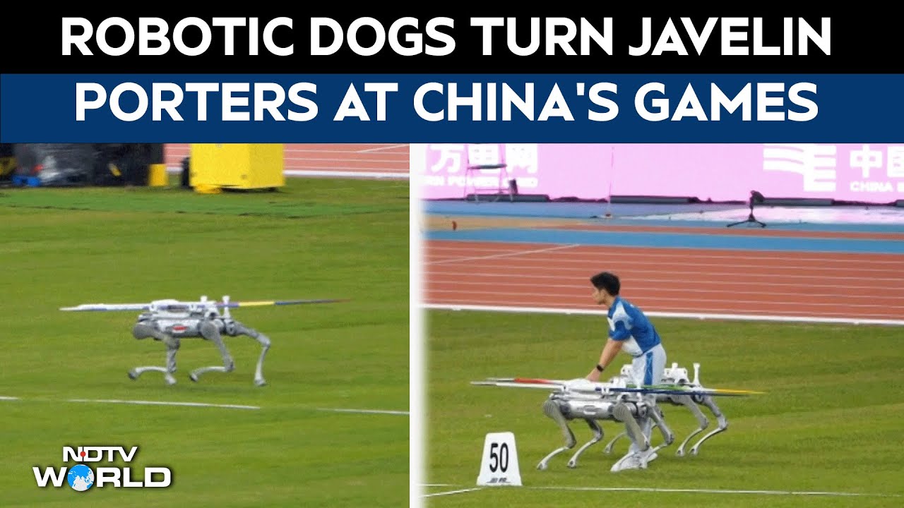 China National Games | Robotic Dogs Become Javelin 'Porters' At China's National Games