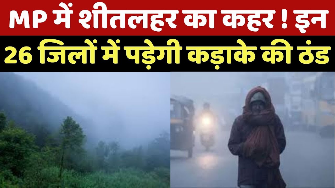 MP Cold Wave : MP में अब थरथराएगी ठंड ! इन जिलों में शीतलहर का Alert