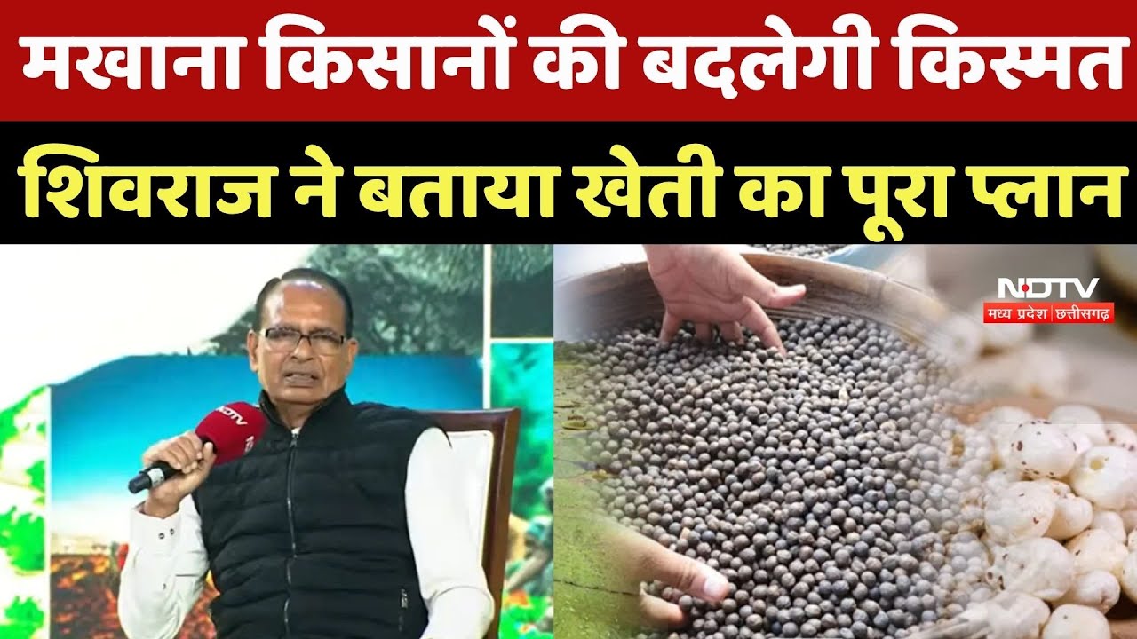 Makhana Farming: मखाना किसानों की बदलेगी किस्मत, Shivraj Singh ने बताया खेती का पूरा प्लान