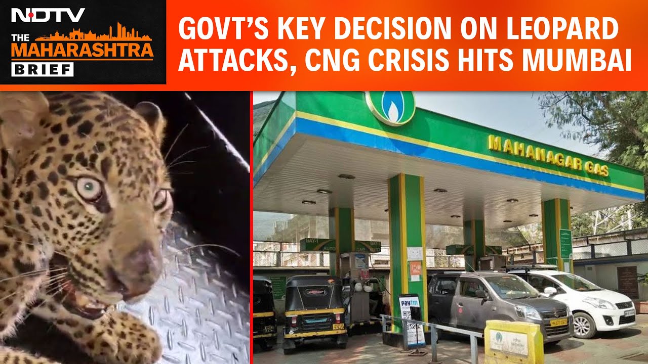 Maharashtra News | Maharashtra’s Key Decision On Leopard Attacks | CNG Shortage Hits Mumbai