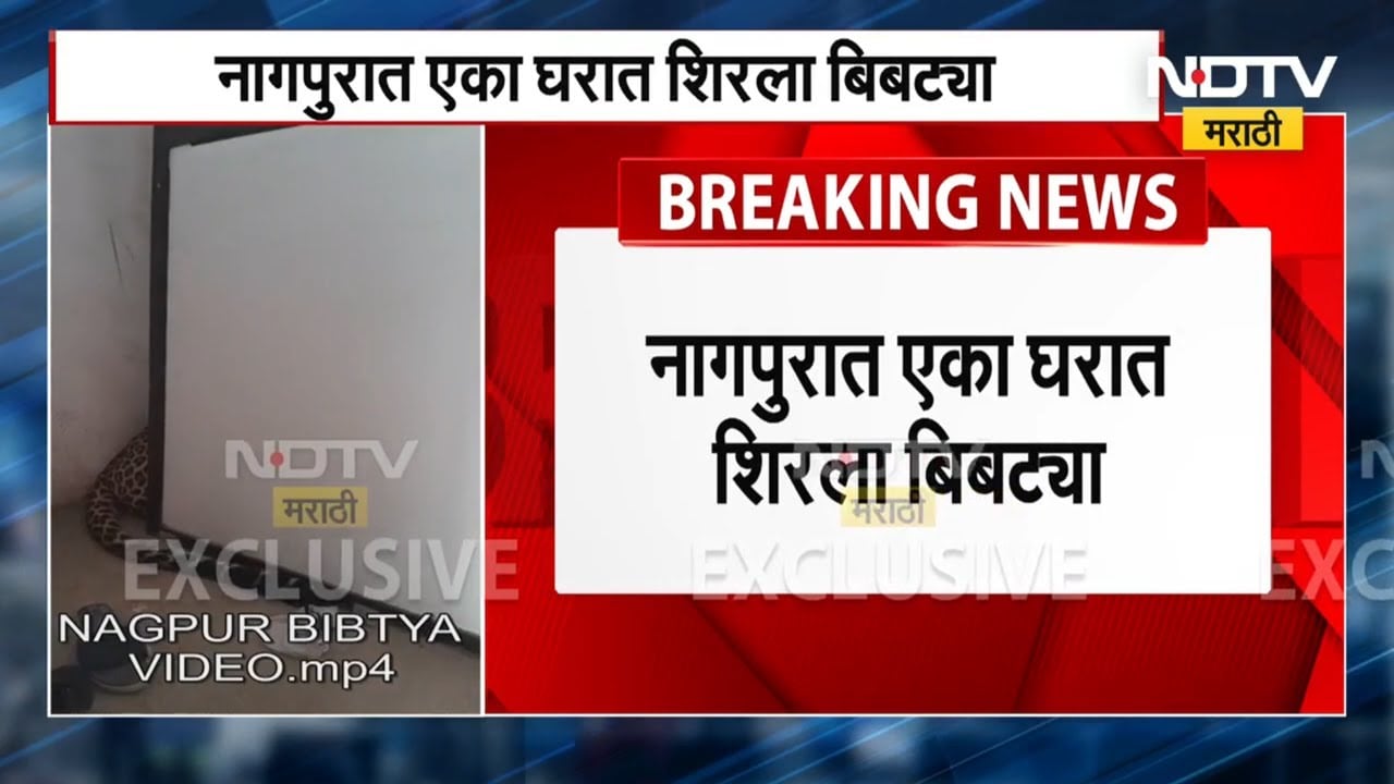 Nagpur Leopard । नागपुरात बिबट्याच्या शेपटीवर पाय पडलेला मुलगा NDTV मराठीवर, सांगितली सगळी आपबिती