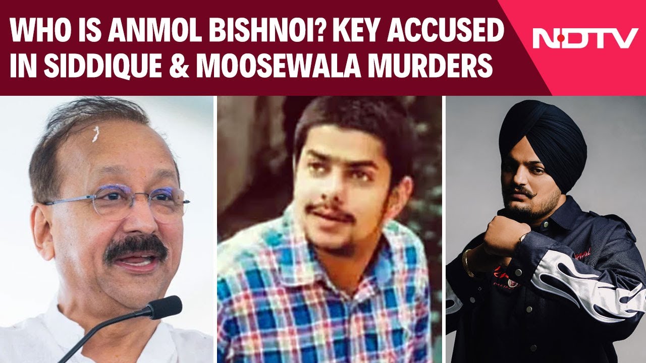 Anmol Bishnoi News | All About Anmol Bishnoi, Accused In Baba Siddique, Sidhu Moosewala Murders