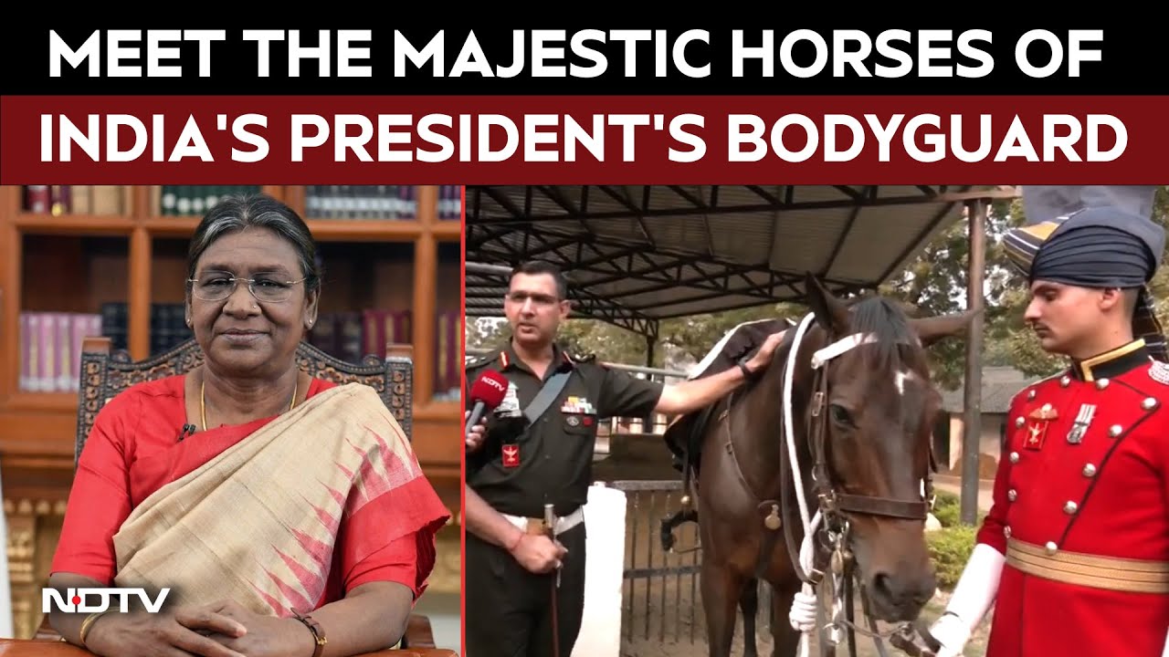 President Bodyguard Regiment | Meet The Majestic Horses Of India's President's Bodyguard
