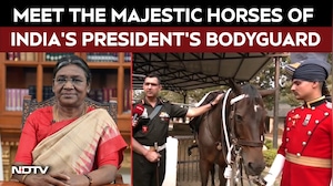 President Bodyguard Regiment | Meet The Majestic Horses Of India's President's Bodyguard