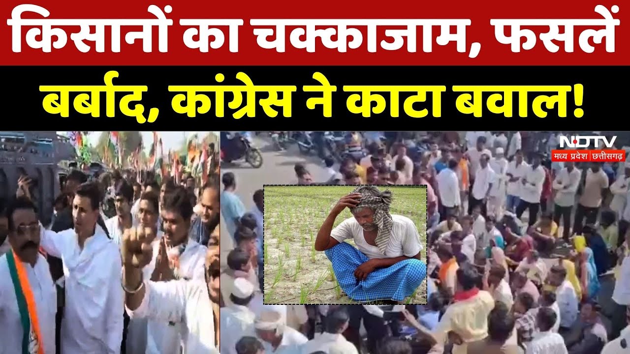 Farmer Protest: किसानों की समस्या को लेकर Congress का बवाल! | Damage Crops | MP | Rain | Top News