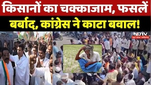 Farmer Protest: किसानों की समस्या को लेकर Congress का बवाल! | Damage Crops | MP | Rain | Top News