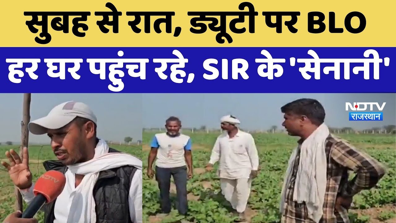 Rajasthan में सुबह से रात, ड्यूटी पर BLO हर घर पहुंच रहे, SIR के 'सेनानी'। Top News