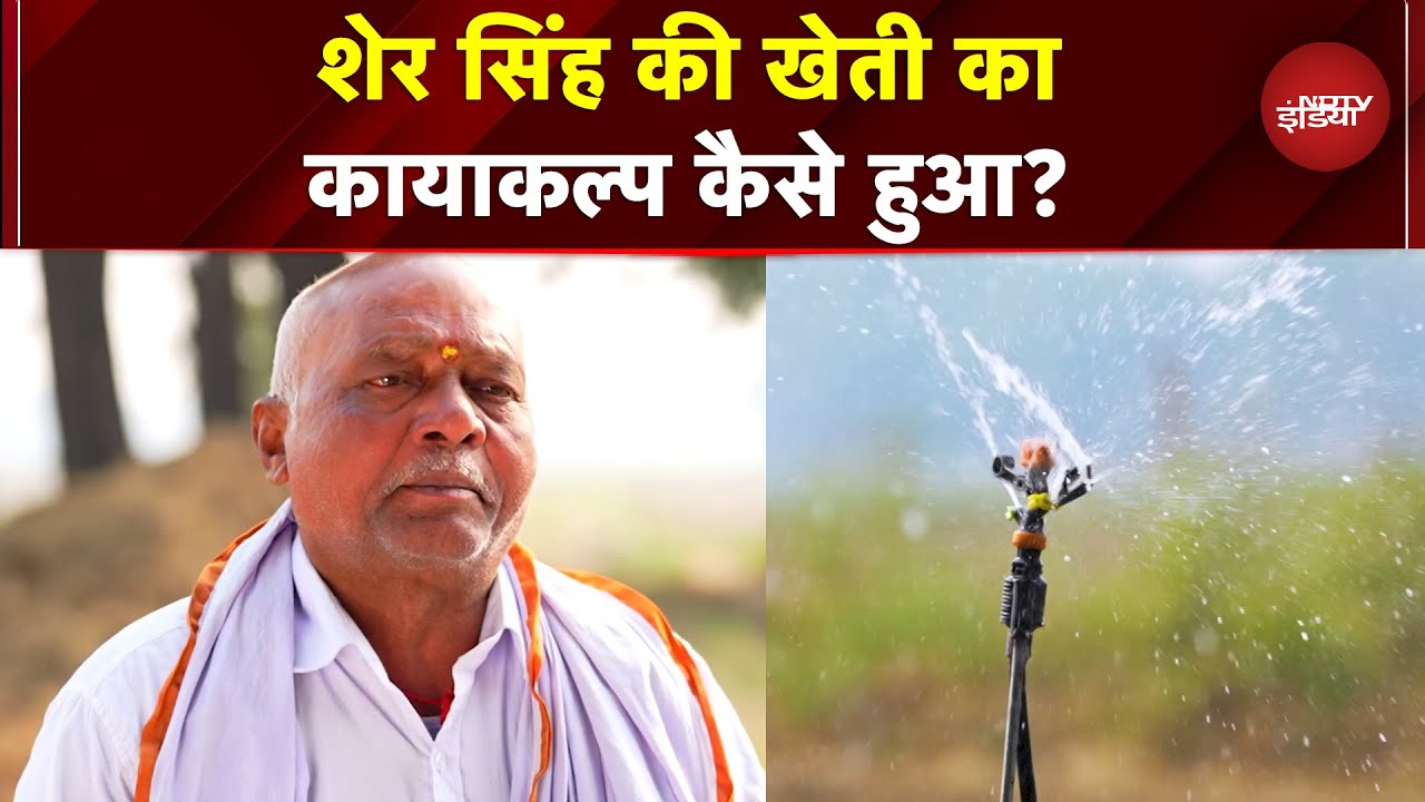 Smart Farming: Sher Singh की खेती का कायाकल्प कैसे हुआ? | NDTV India